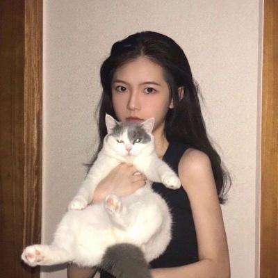 炸弹纷争无限道具版下载